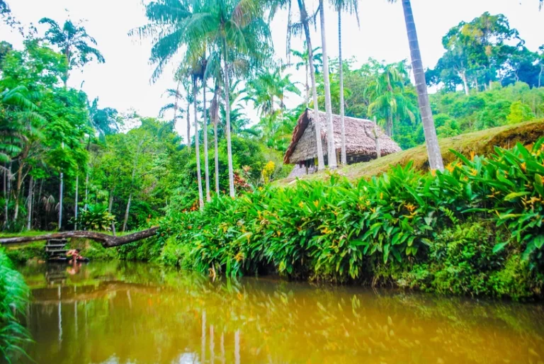 How to travel eco friendly Leticia Amazonas Colombia