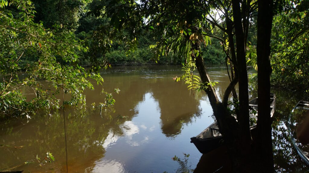 Calderon river - Tours & Treks in Leticia Amazonas - Hipilandia